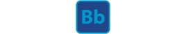 Bluebrads Store